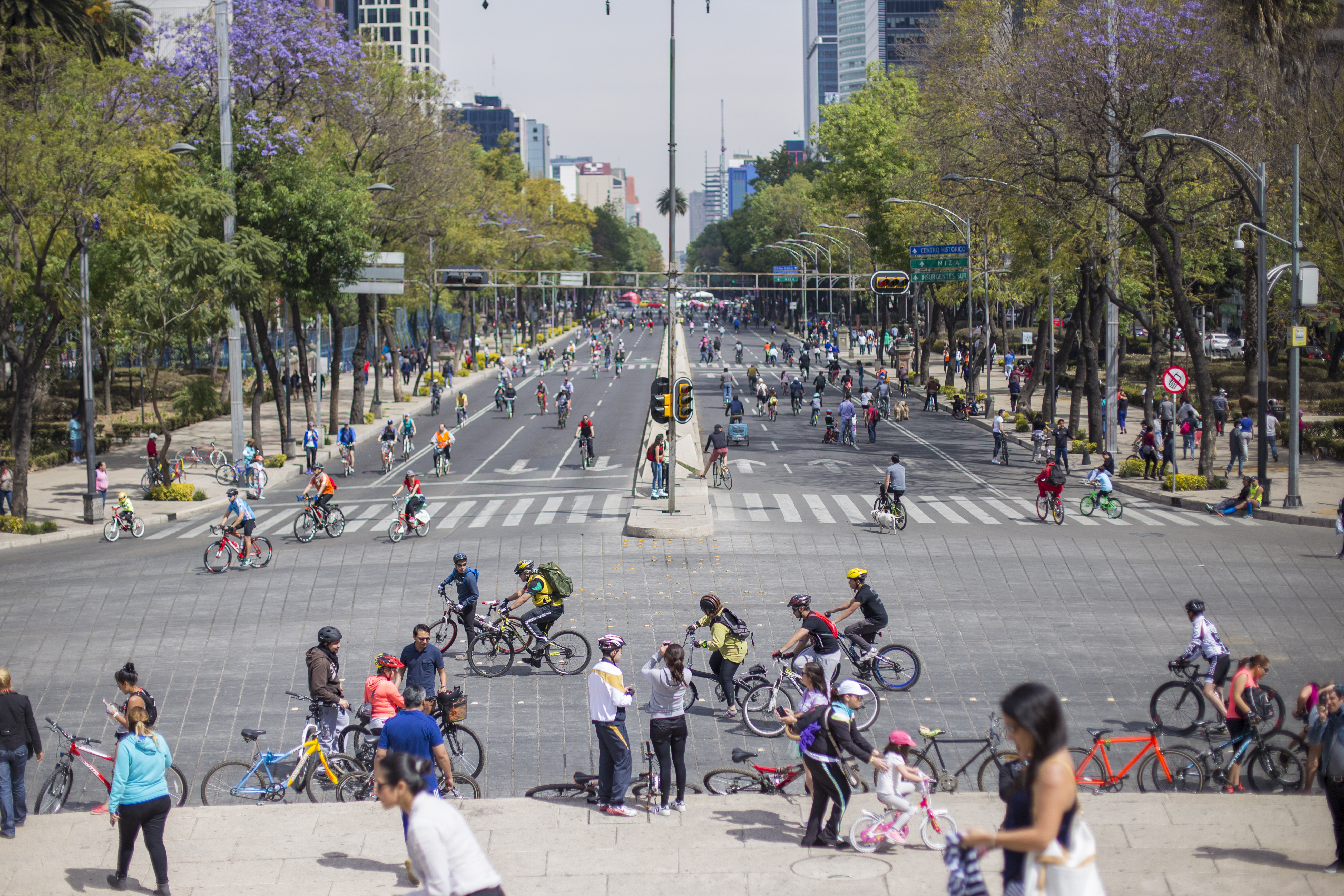 [Interactive Timeline] How Mexico City Became a Leader in Parking Reform