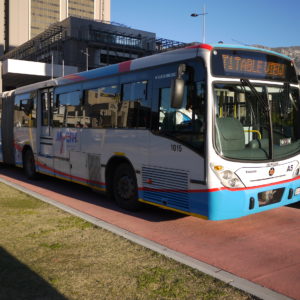 CT - Artic Bus on Busway