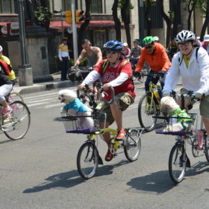 Ciclovía Recreativa DF