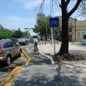 Guadalajara Bike Lane