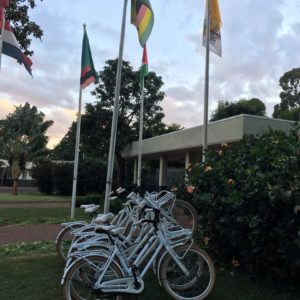 UN Governing Council: UN bike share