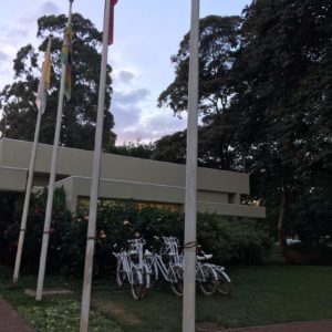 UN Governing Council: UN bike share