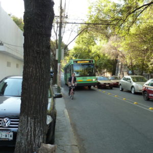 Ecobici in the bus lane