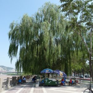 Lanzhou Greenway 2011