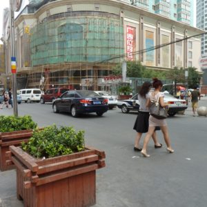 Pedestrian Crossing 2